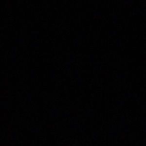 Meet your Posher, Selena